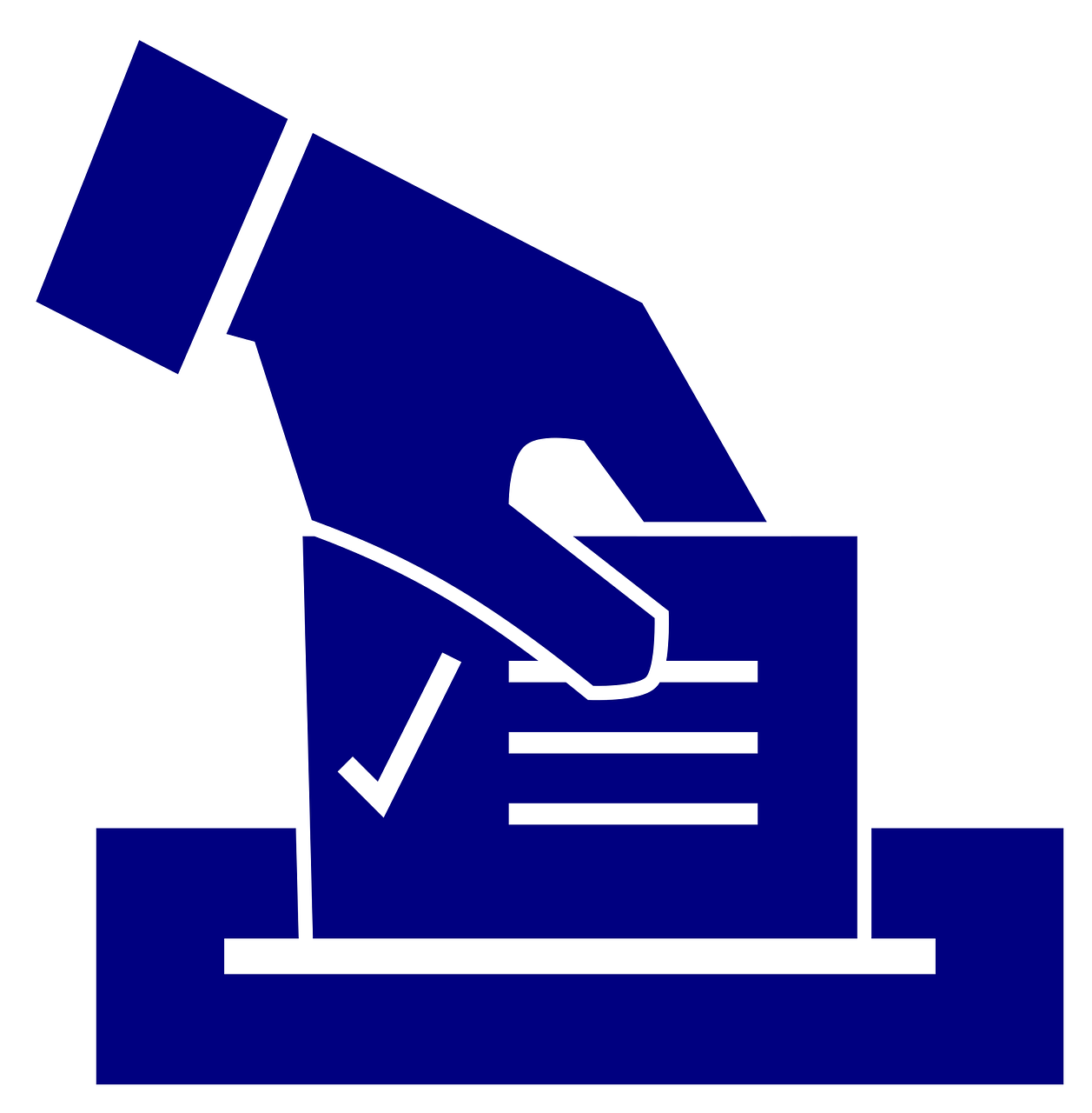 ballot, election, vote